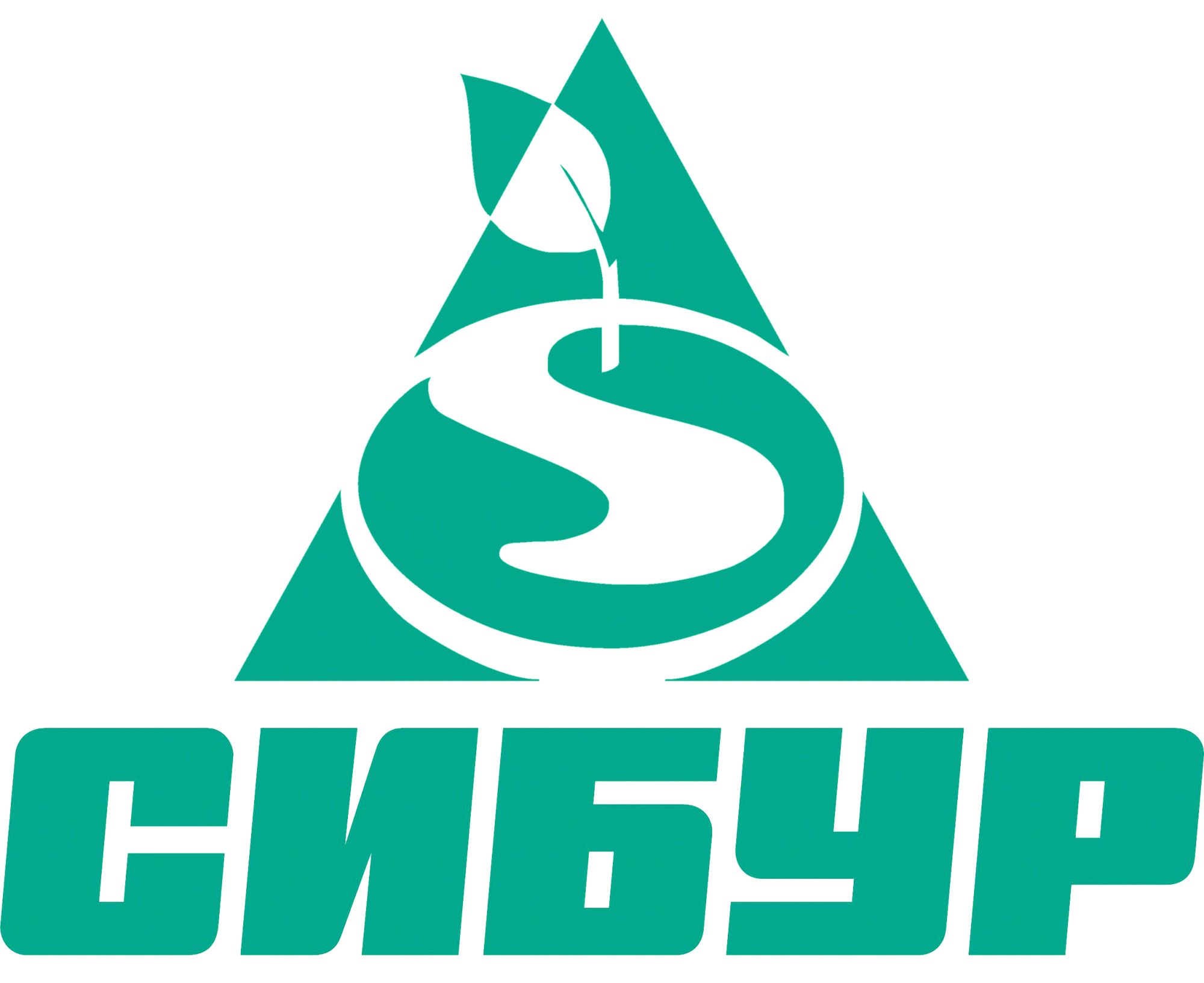 СИБУР СИБУР